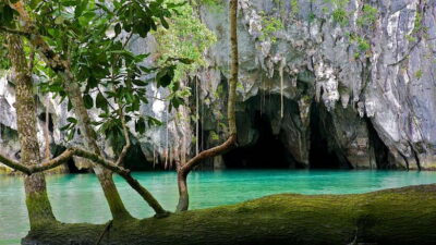 Underground River and Firefly Watching Tour