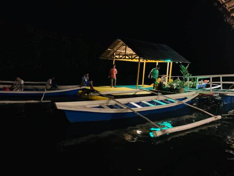 Puerto Princesa: Underground River and Firefly Watching Tour - Inside the Puerto Princesa Underground River