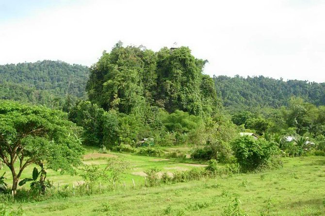 Puerto Princesa Underground river excursion tour UNESCO - What the boat portions add to the day