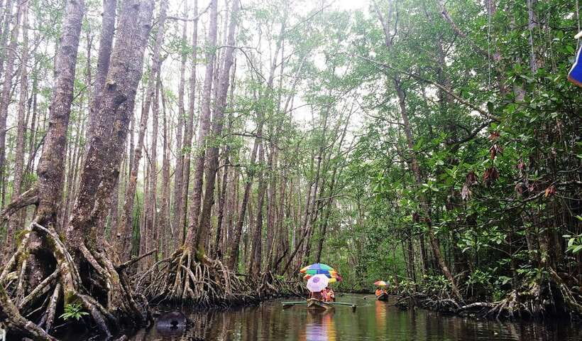 Puerto Princesa: Underground River, Zipline, Paddleboat Tour - Filipino lunch on Sabang Beach