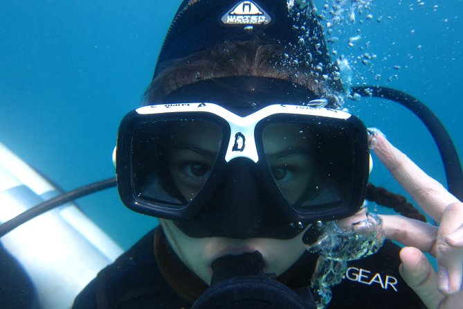 Scuba Diver Course (PADI) - Key points for choosing this two-day PADI course