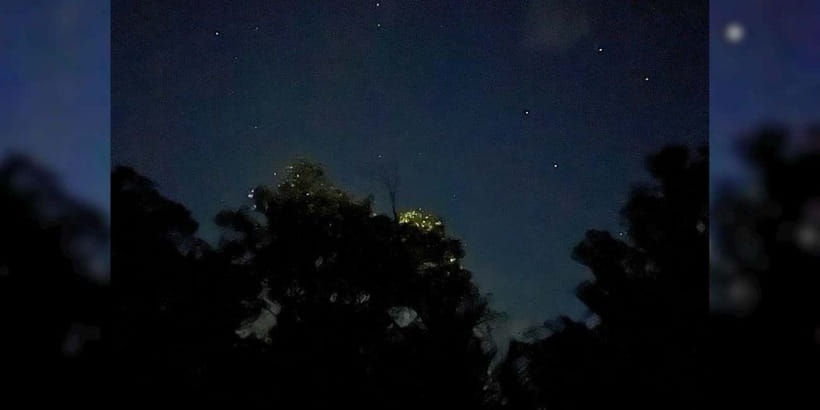 Shared Firefly Watching Cruise on Bohol’s Scenic Loboc River - The one-hour ride from Panglao or Tagbilaran