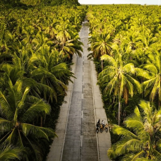 SIARGAO: Land Tour with Maasin River - Maasin River and the bent coconut tree