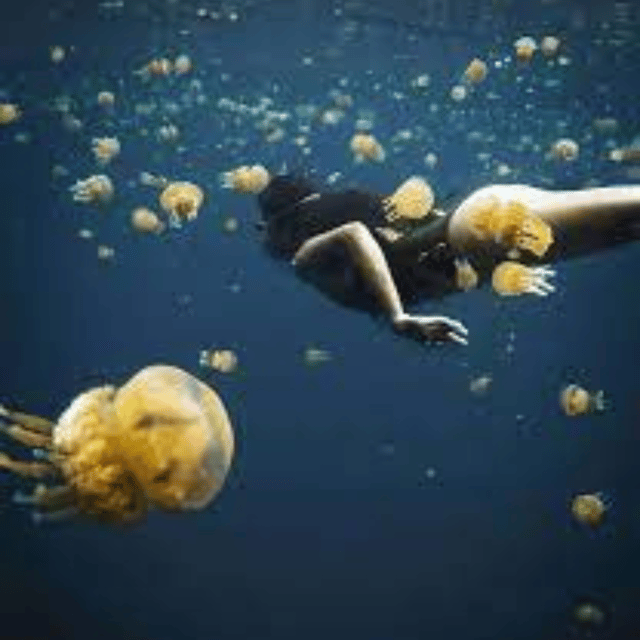 Siargao:Sohoton Island Hopping Tour with Jellyfish Sanctuary - Swimming with the jellyfish
