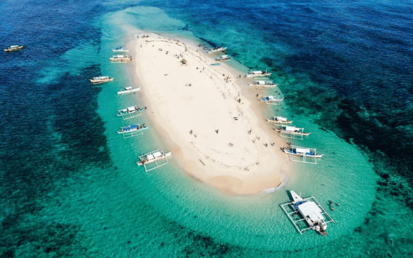 Siargao Tour G (Private Tour) - Coconut Mountain View and Coconut Road fill the camera