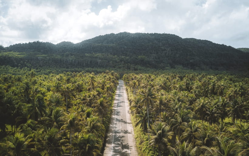 Siargao Tour G (Private Tour) - Guyam Island begins the island loop