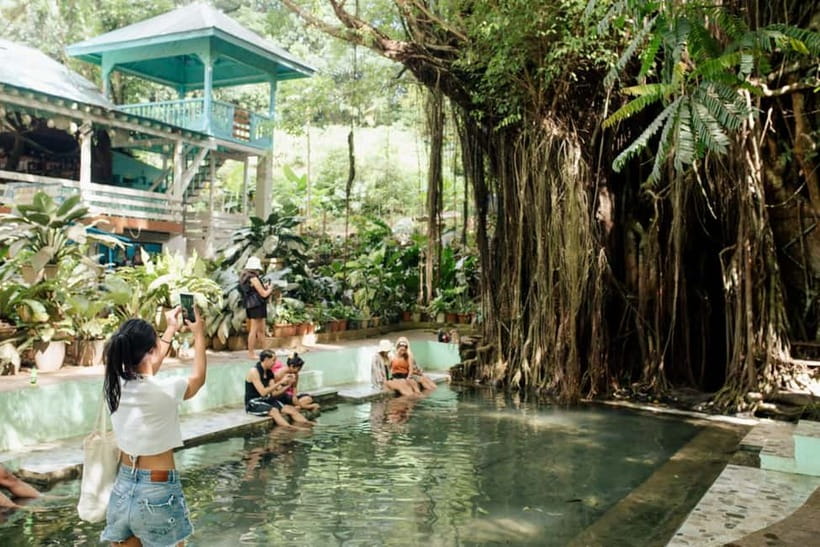 Siquijor Day Tour from Bohol- Shared Tour - Fish nibbling at the 400-year-old Balete Tree