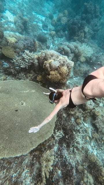 Siquijor: Freediving Adventure with Lunch and Beach Time - Is $108 per person a fair price?