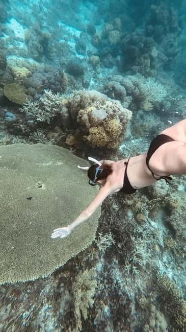 Siquijor: Jeepney Island Tour with Snorkeling - Choosing between waterfalls, cliffs, and the underground river