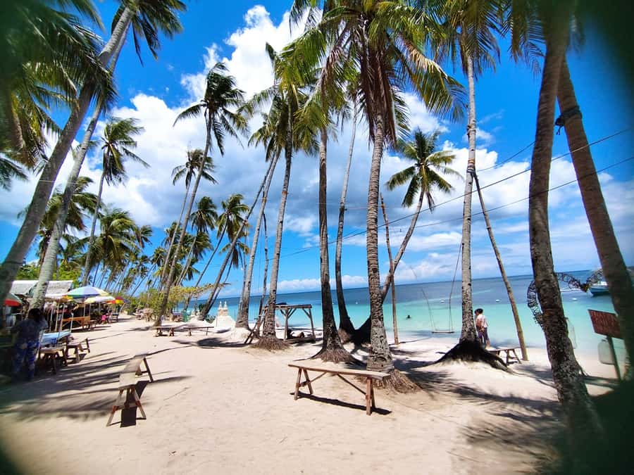 Siquijor: Siquijor Island Tour Cambugahay Falls Private - Lunch is your responsibility