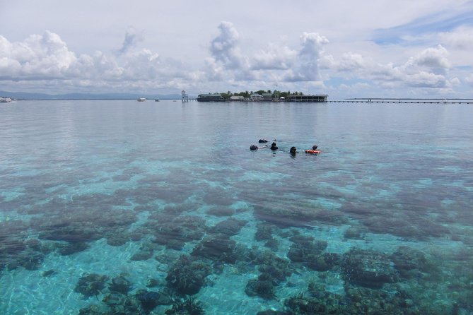 Snorkeling at San Vicente with speed boat - San Vicente and Nalusuan: what you are really going to see