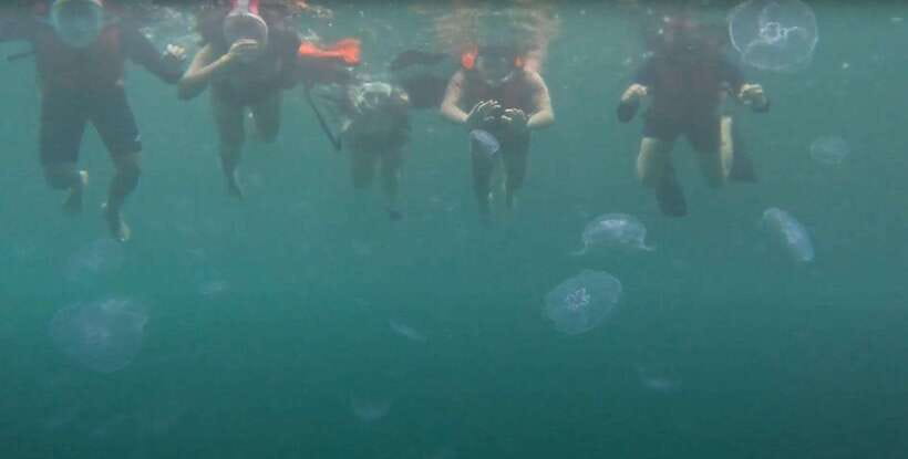 Sohoton Cove: Swim with Jellyfish & Explore Hidden Lagoons - Why Sohoton Cove feels different from a standard island trip