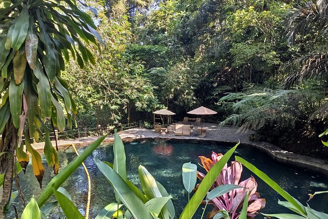 Tagaytay + Hidden Valley Springs: A Scenic Escape w/ Transfers - What to bring and how to plan the day