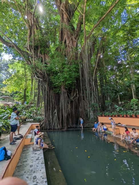 The Best of Siquijor Island Tour - Key points to know before booking