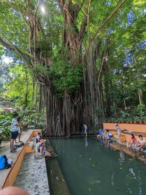 The Best of Siquijor Island Tour - Lunch at Twenty4 Restaurant breaks up the morning