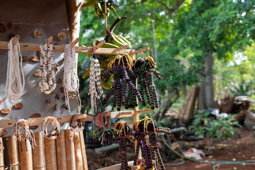 The Best of Siquijor Island Tour - The Butterfly Sanctuary provides a quiet change of pace