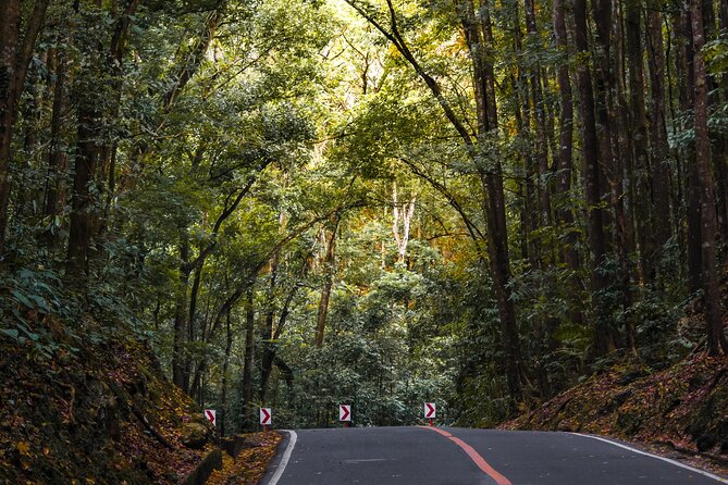The tour of the must-see sites of Bohol - Two hours among the Chocolate Hills