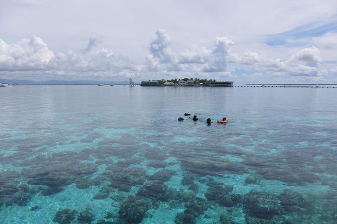 Twin Island Snorkeling Adventure at Hiltungan and Nalsuan - What the three-and-a-half-hour outing actually offers