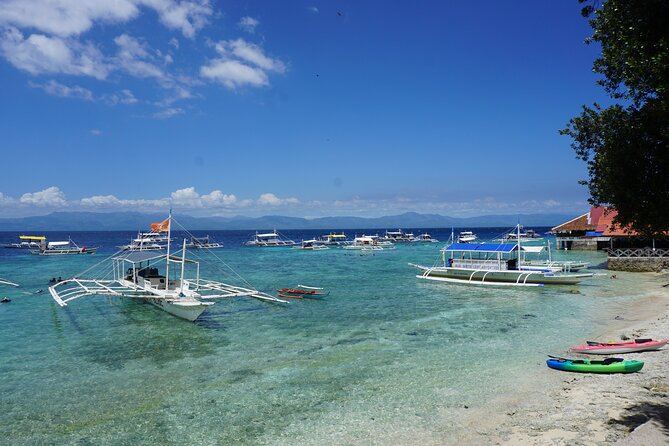 Whale Shark, Canyoneering, Sardines Run and Turtles with Transpo - Kawasan Falls and four hours of canyoneering