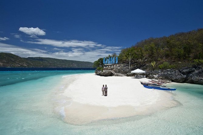 Whale Shark Encounter and Sumilon Sandbar with Kawasan Falls - Oslob whale sharks: the unforgettable and complicated part