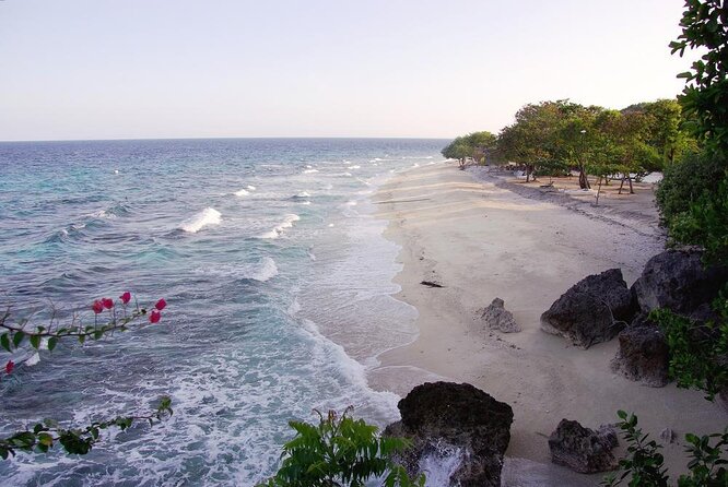 Whale Shark & Tumalog Falls & Sumilon Sandbar & Pescador Island with Sardines - The day in one look
