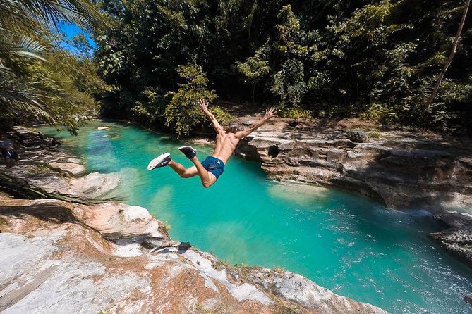 Whale Shark Watching & Tumalog Falls & Kawasan Falls - Oslob whale shark watching comes first